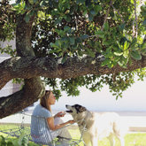  Garden Area - Sixpence Pet-Friendly Self-Catering Accommodation